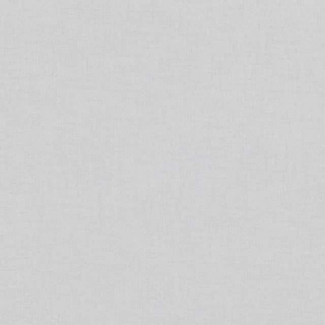 Pale silver-grey plain weave with a softly mottled, light-catching surface