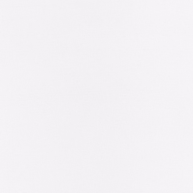 Soft ivory-white plain woven textile with a barely visible fine surface texture