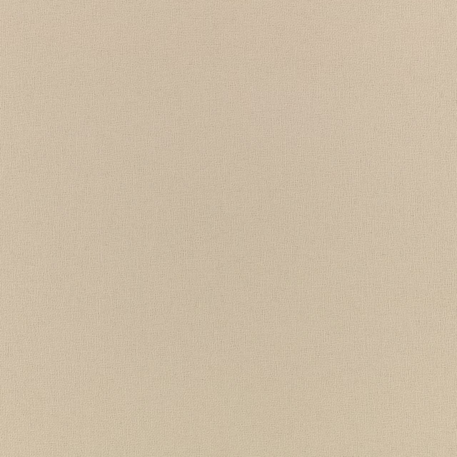Pale oyster beige outdoor fabric with a fine, even woven surface