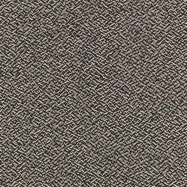 Charcoal black woven fabric with dense ivory flecks and subtle diagonal texture