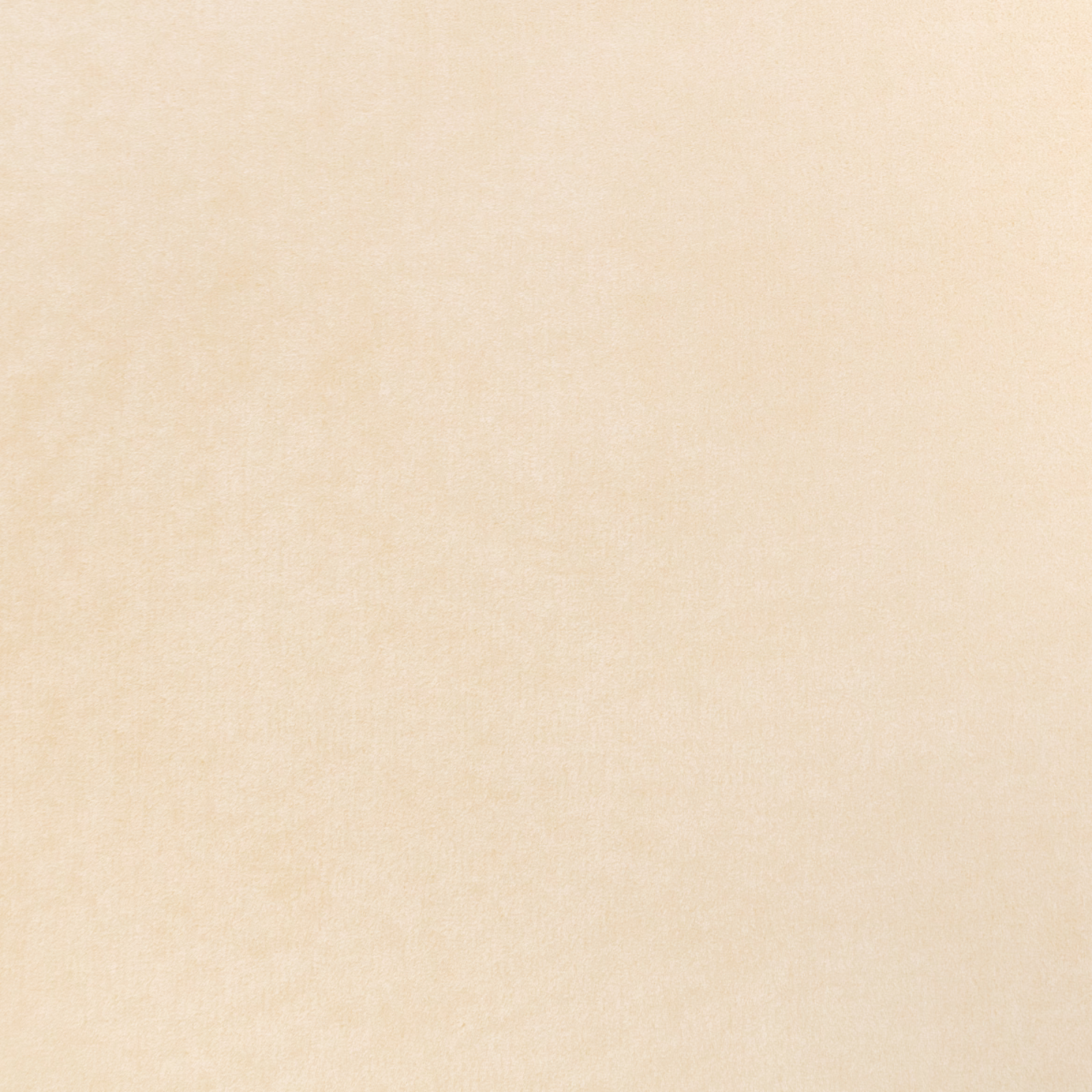 Pale warm cream fabric with a softly mottled, finely woven surface
