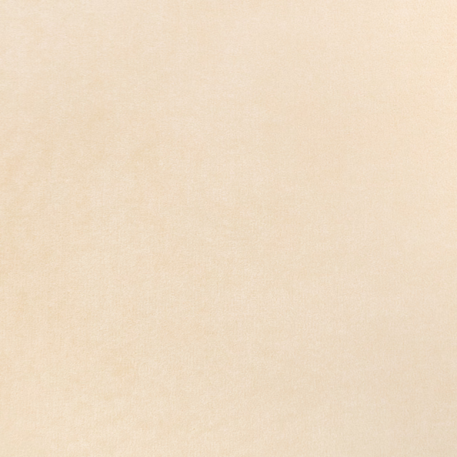 Pale warm cream fabric with a softly mottled, finely woven surface