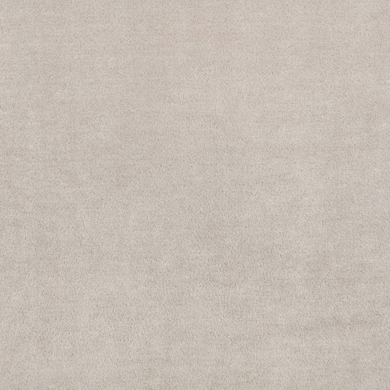 Pale eggshell fabric with a fine softly mottled, suede-like surface