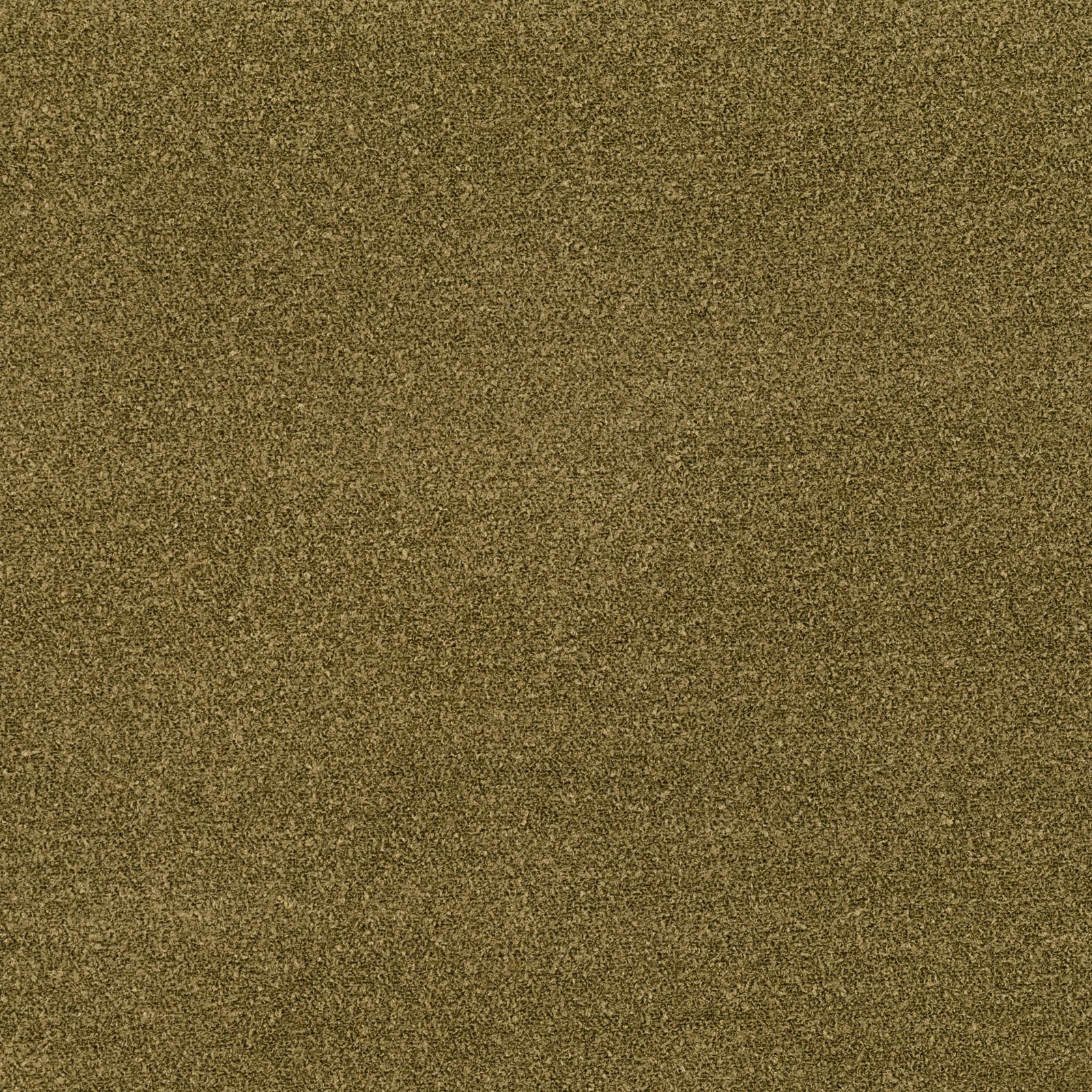Close-up of Rock Fern showing a muted olive-brown, finely mottled woven texture