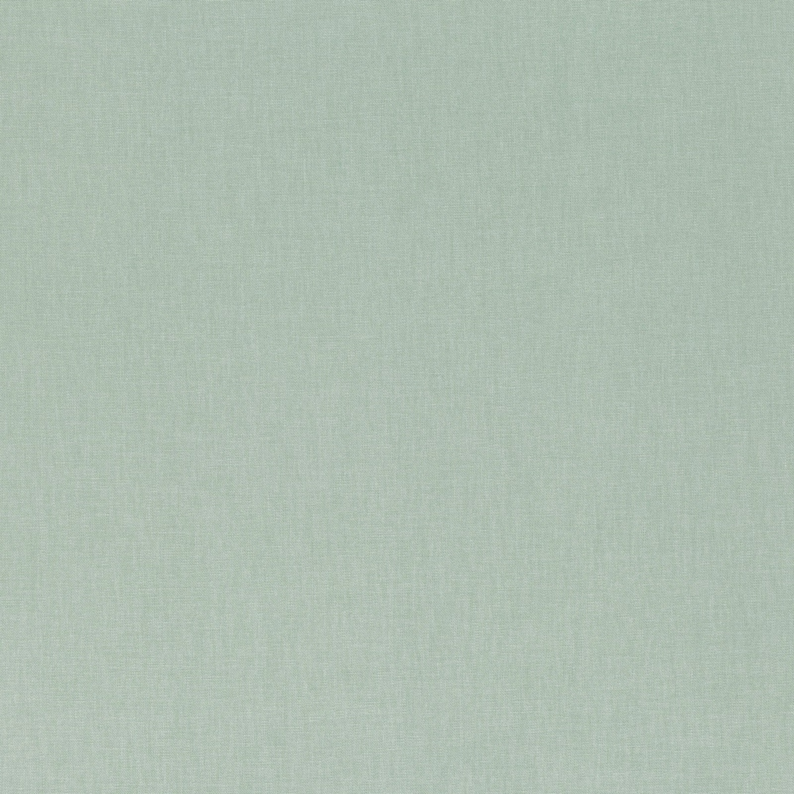 Pale aloe-green plain weave with a fine, softly crosshatched textile texture
