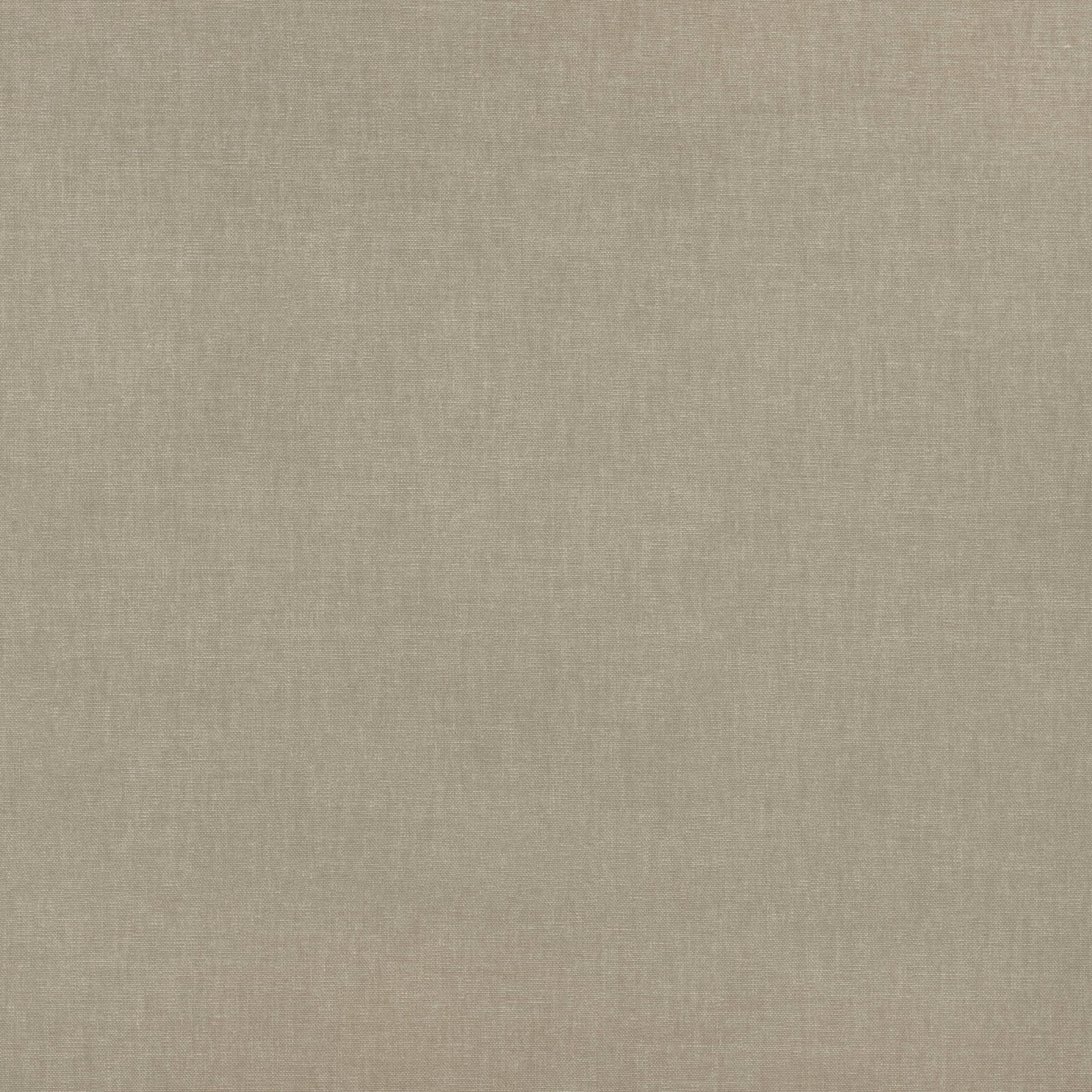 Muted fennel-green plain weave with a fine, softly tonal woven texture