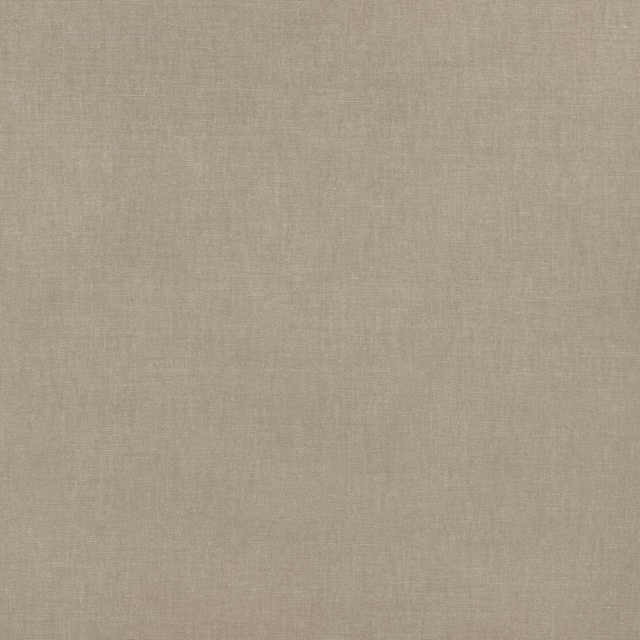 Muted fennel-green plain weave with a fine, softly tonal woven texture