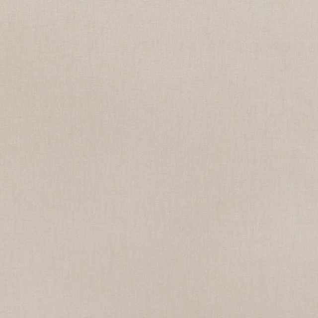 Pale limed-oak greige textile with a fine, softly mottled woven surface