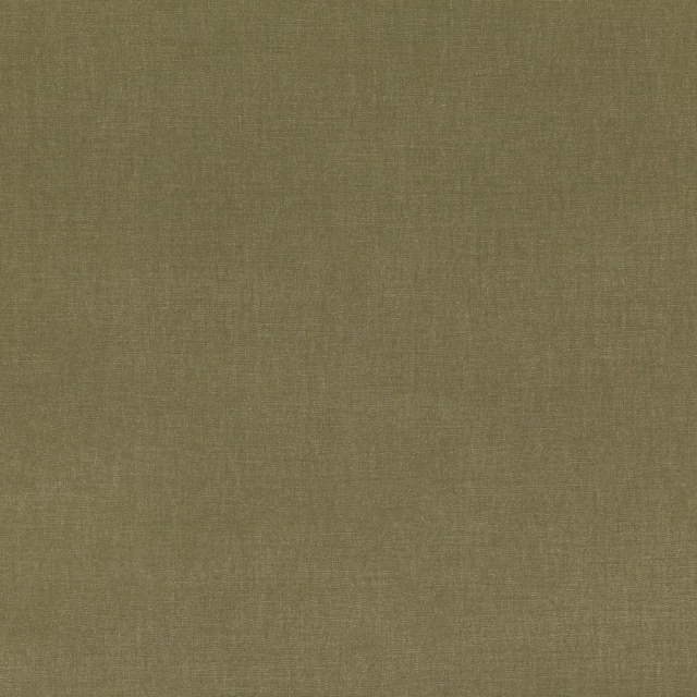 Muted olive-green plain weave showing fine tonal texture and a softly matte surface