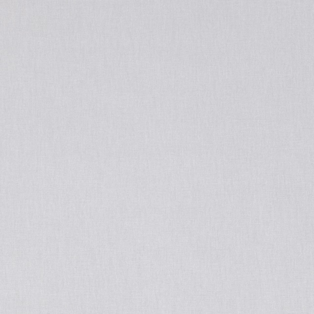 Pale silver-birch fabric with a subtle cool crosswoven texture