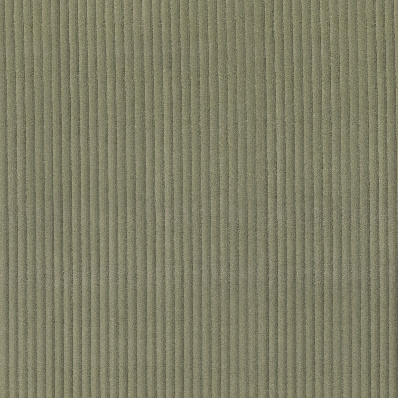 Muted avocado green fabric with fine vertical ribs and softly varied shading