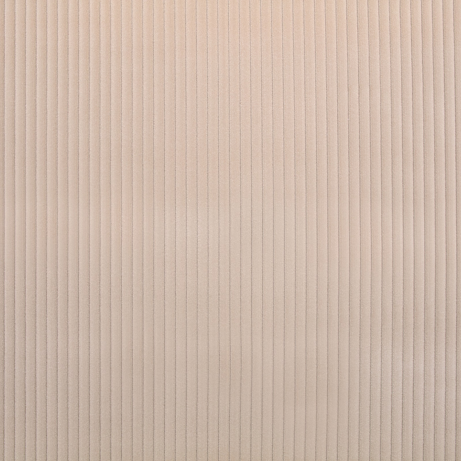 Warm buff beige fabric with fine vertical ribs and softly textured surface