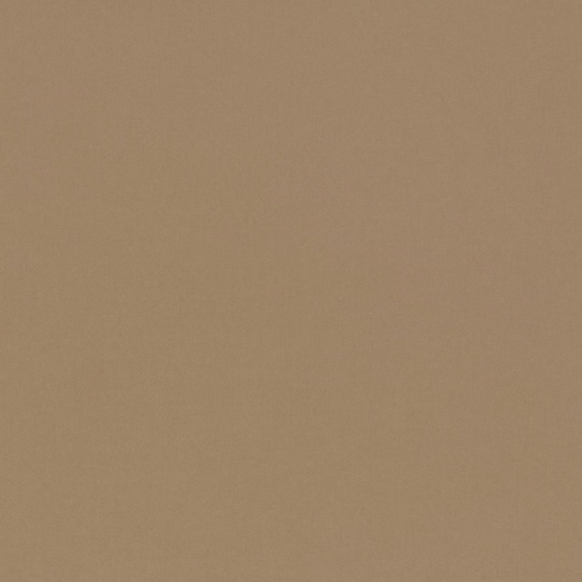 Close-up of warm buff-beige textile with a subtle, even matte grain