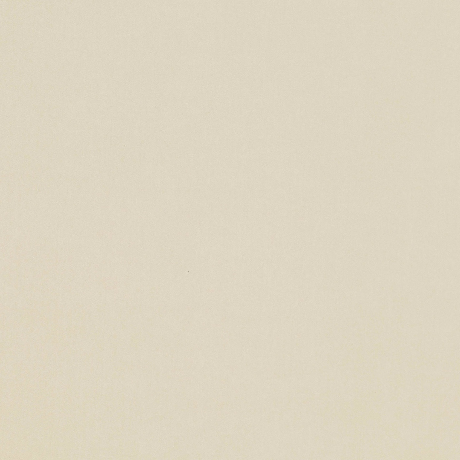 Pale chalk-cream plain fabric swatch with a soft, finely textured surface