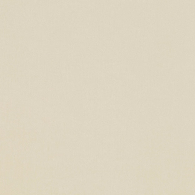 Pale chalk-cream plain fabric swatch with a soft, finely textured surface