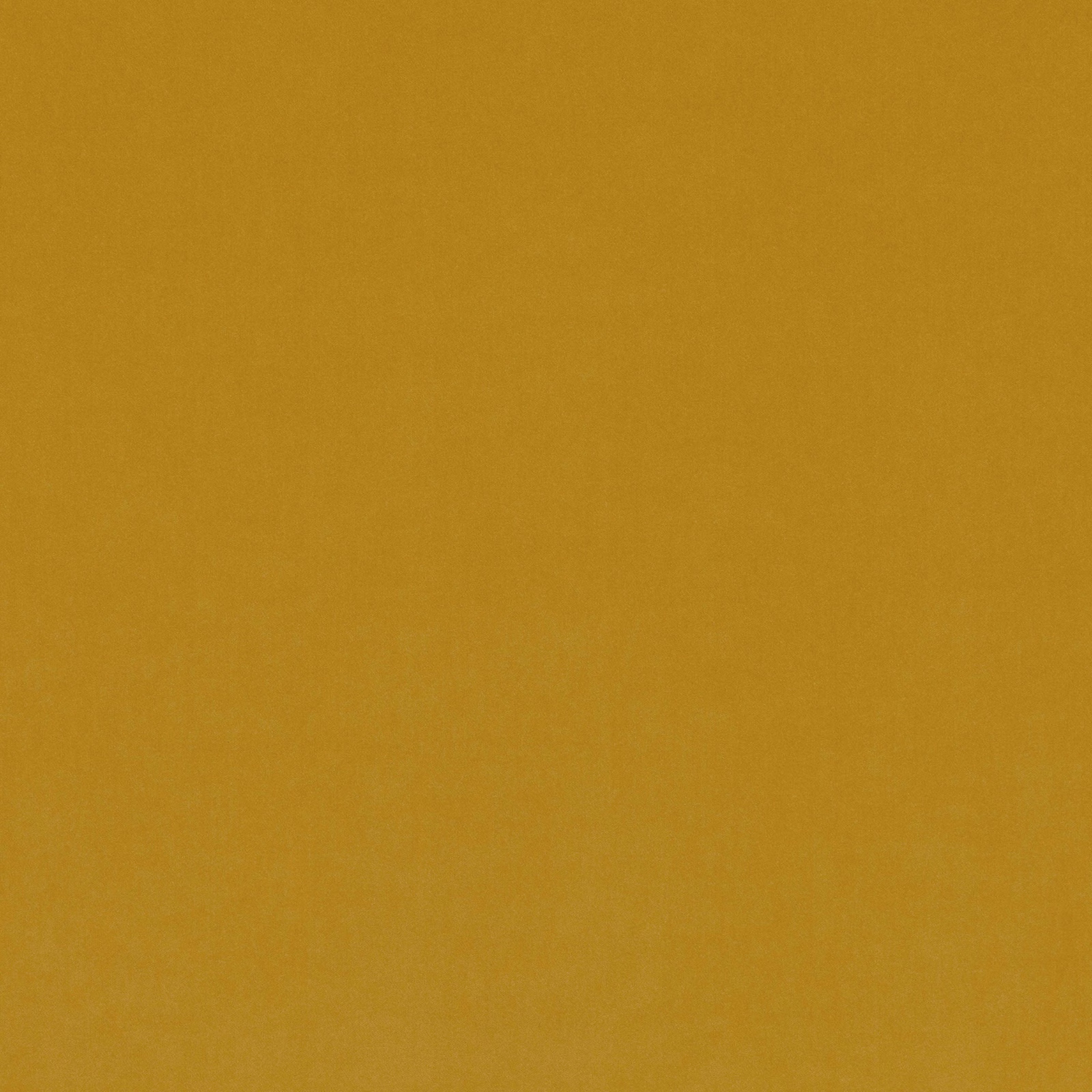 Solid warm corn-ochre fabric with a softly even, subtly textured surface