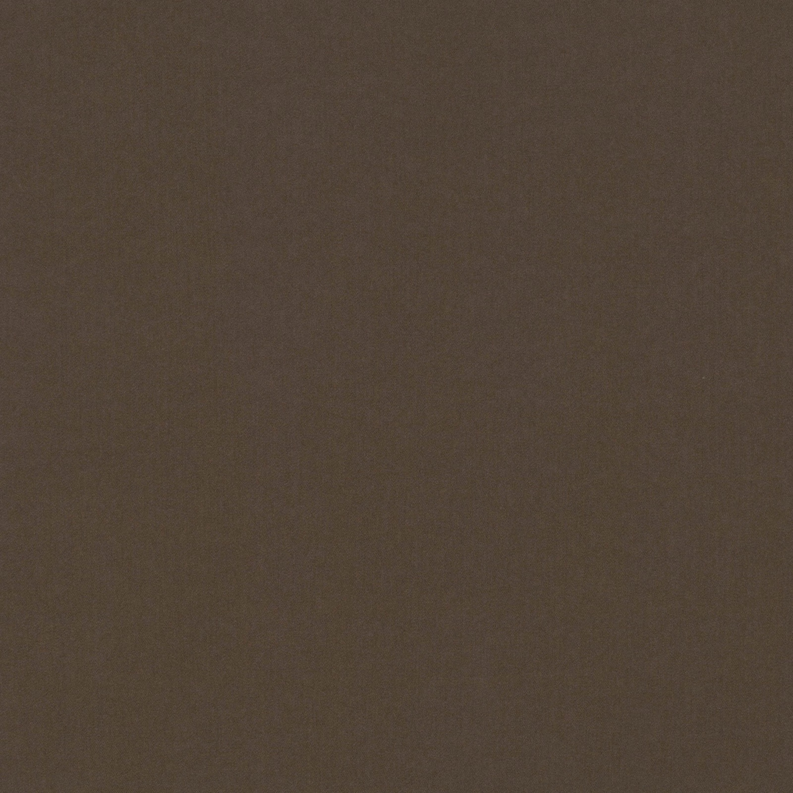 Close-up of Smooth Elm in deep smoky brown with a fine, even surface