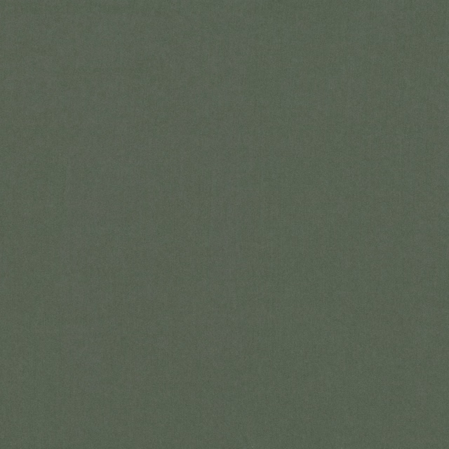 Muted grey-green khaki textile with a fine, softly mottled plain surface