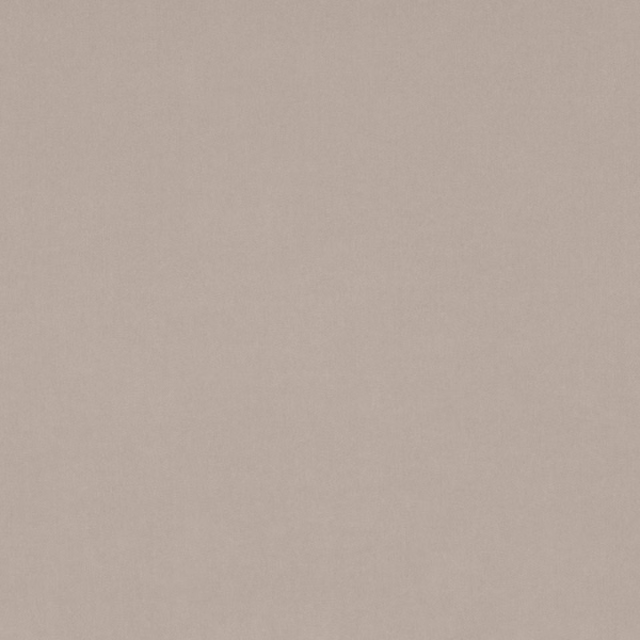 Warm taupe plain fabric with a softly textured, subtly mottled surface