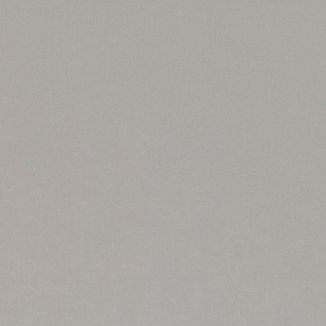 Smooth Soft Grey fabric showing a fine, even pale-grey woven texture