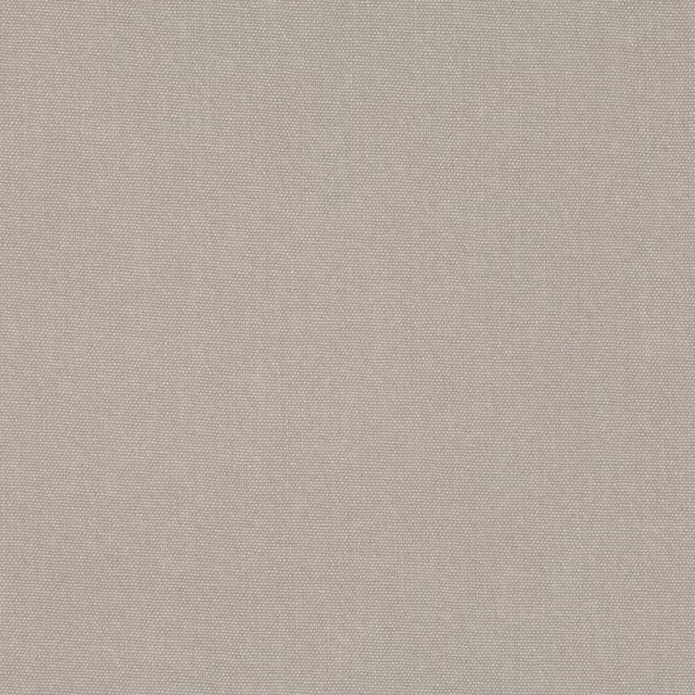 Close-up of warm eggshell beige plain weave with a fine matte grain
