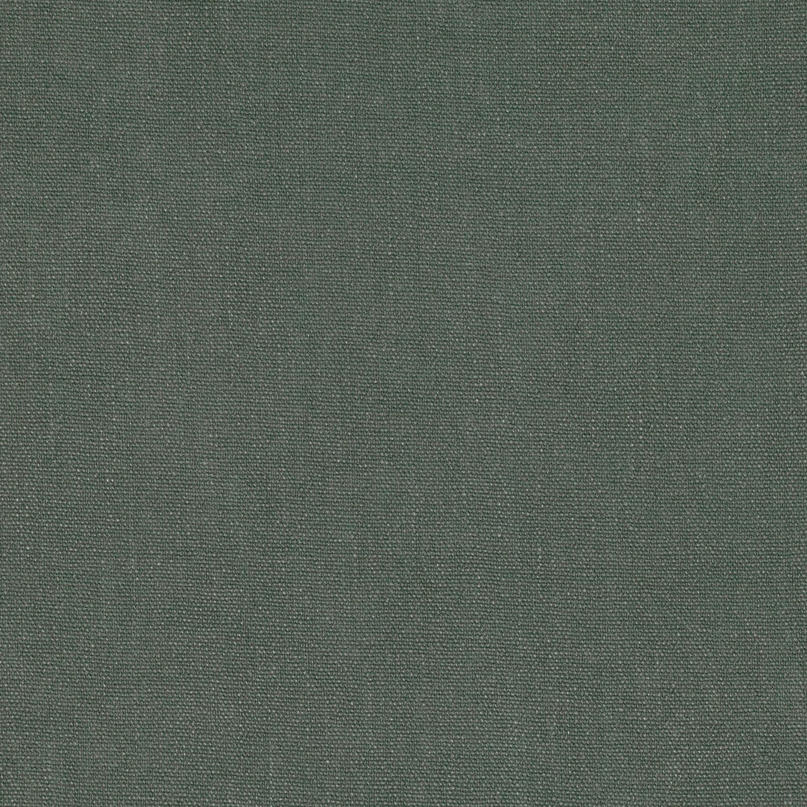 Muted eucalyptus-green plain weave with a fine, softly grainy texture