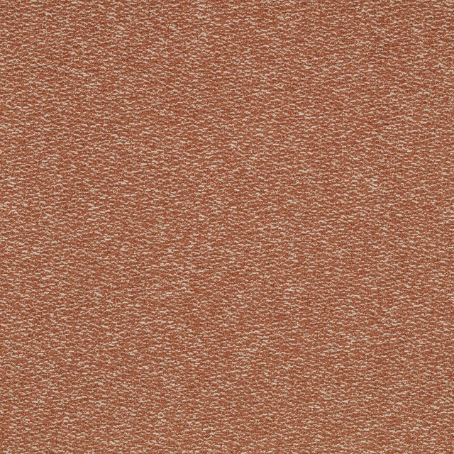 Warm sienna-rust woven fabric with fine pale flecks and a softly mottled texture