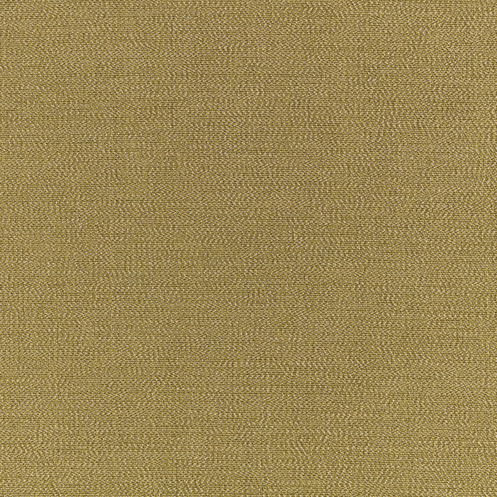 Muted fern-olive plain weave with fine horizontal texture and khaki depth