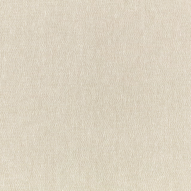 Pale silver-grey fabric swatch with a fine, softly mottled woven texture