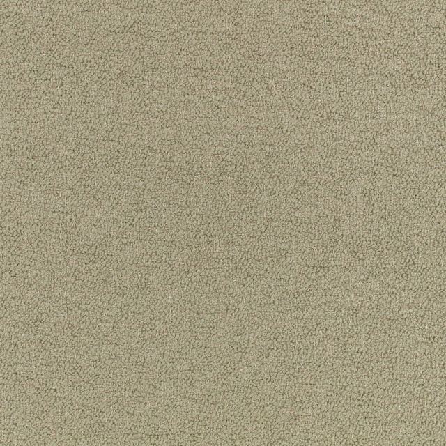 Muted sage-green textile with a fine, irregular pebbled weave in close view