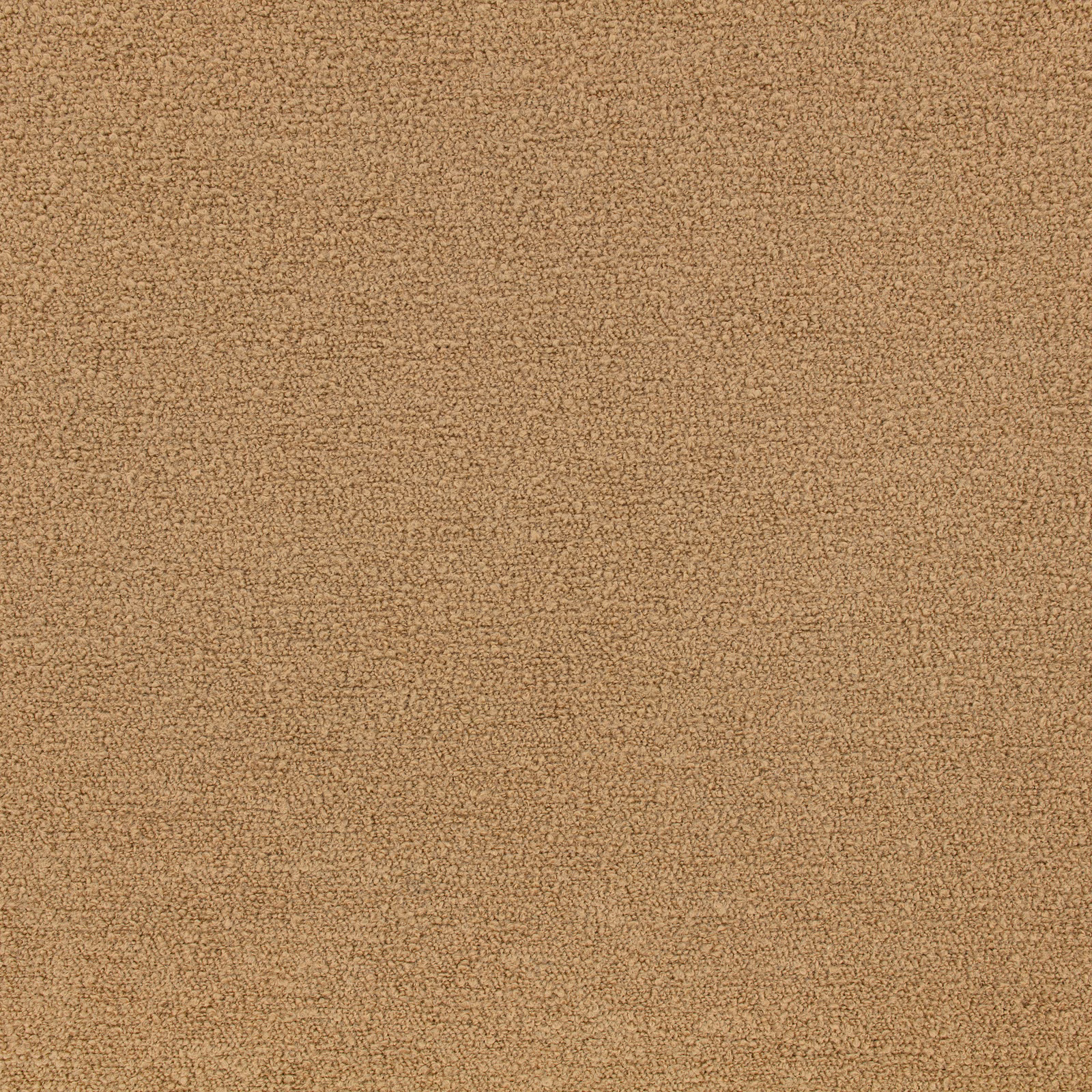 Warm camel Teddy Canvas with a dense, softly nubby textured surface