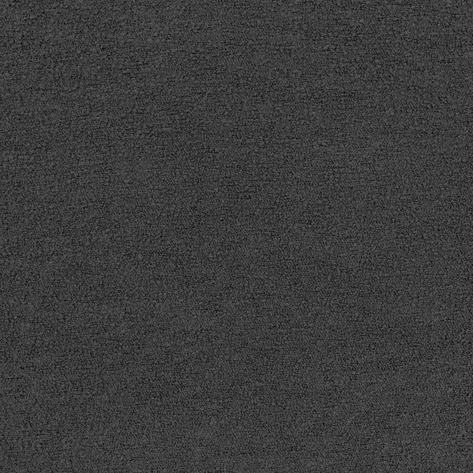 Close-up of dark charcoal Teddy fabric with a fine nubby tonal weave