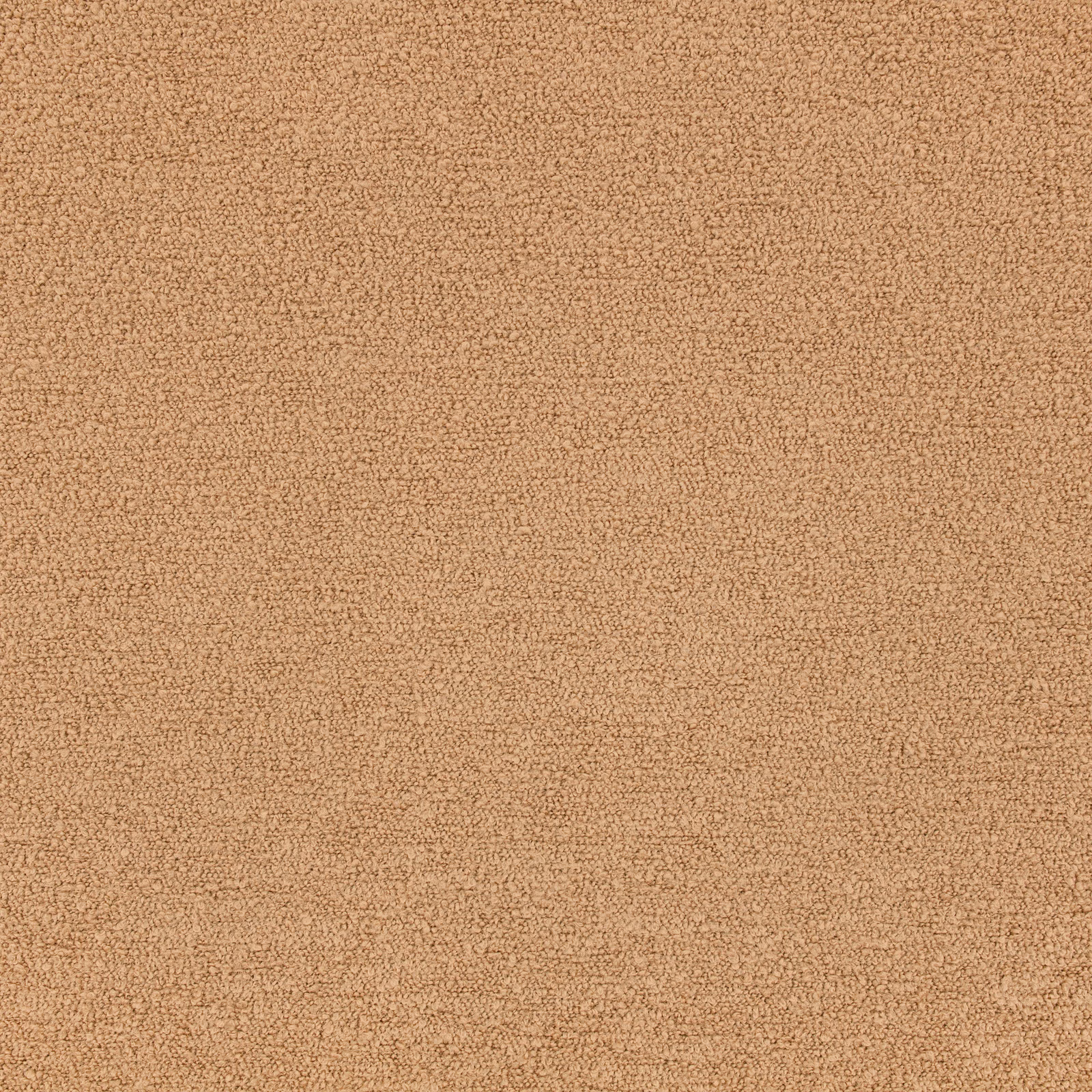 Warm chai-tan teddy-textured fabric with fine, softly mottled loops
