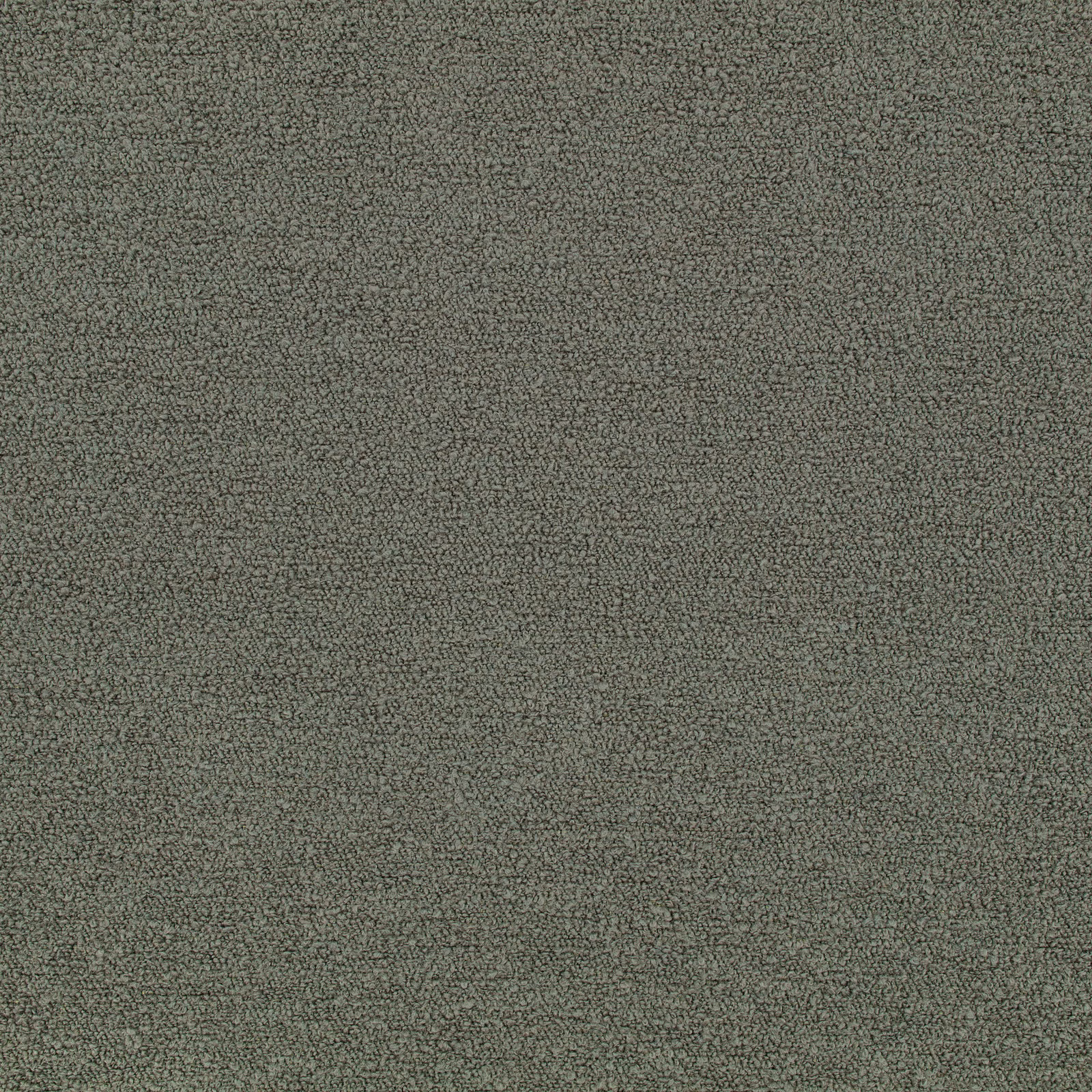 Muted olive-grey Teddy fabric showing a dense, fine nubby boucle texture
