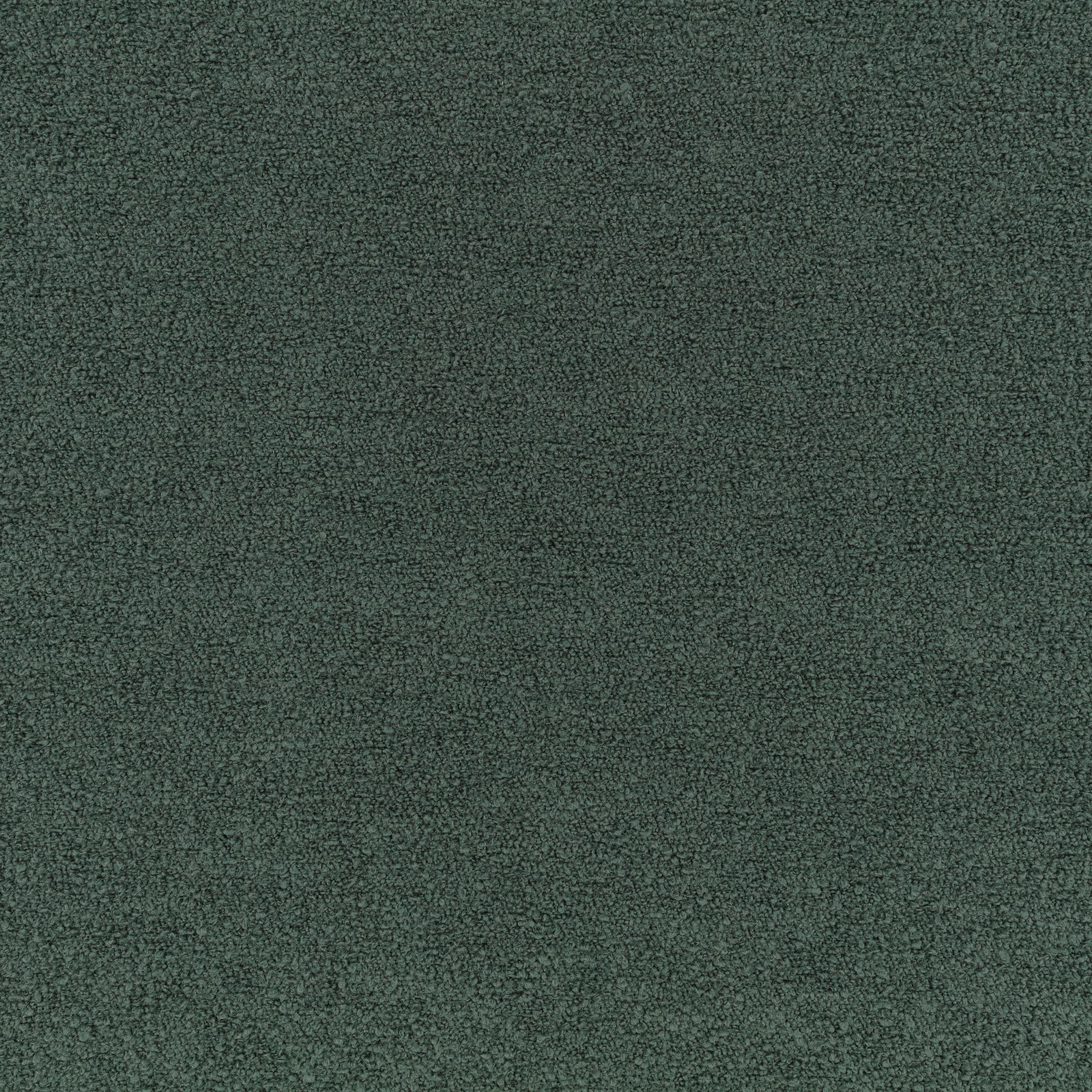 Deep evergreen Teddy fabric with a dense, finely nubby textured surface