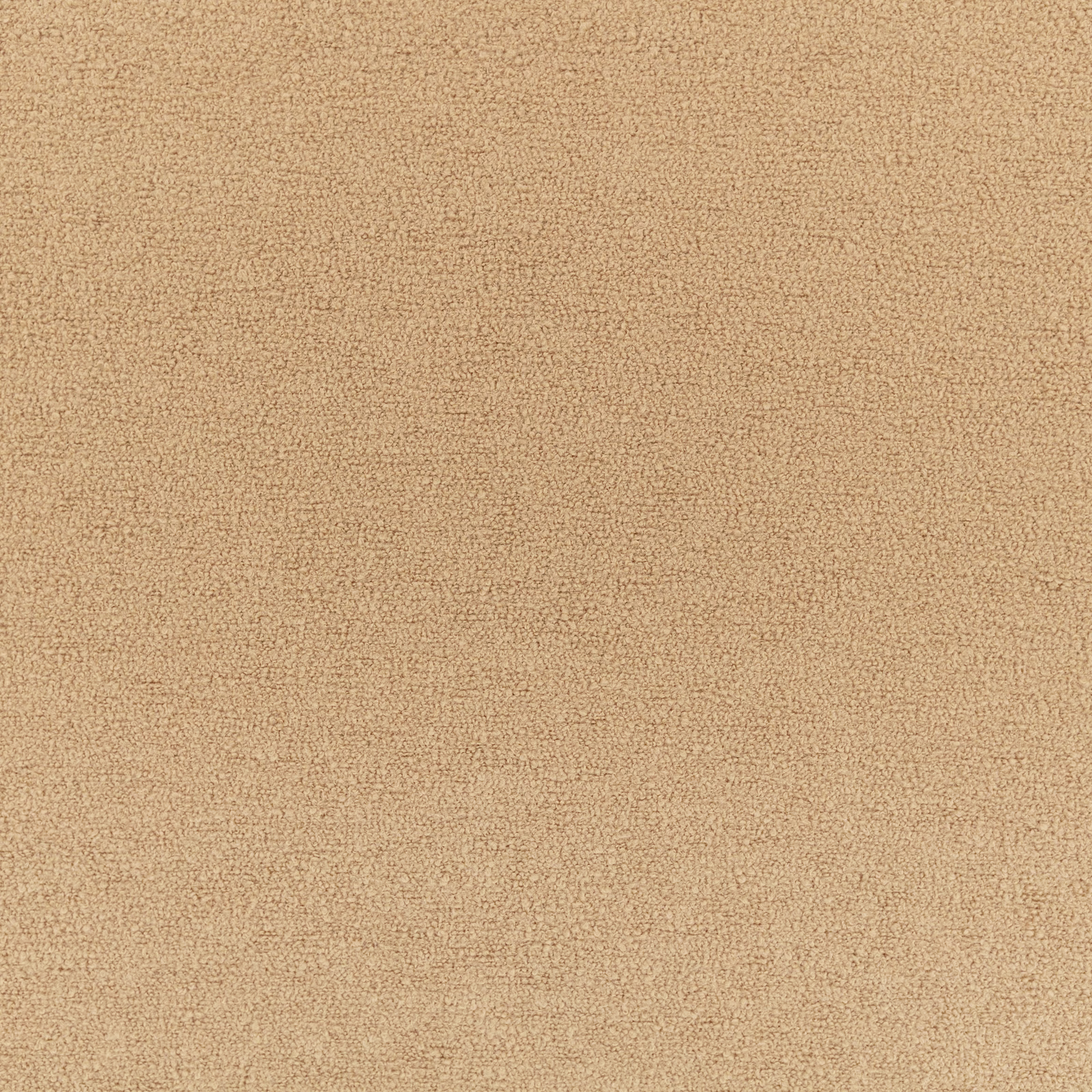 Warm camel-beige nubby teddy texture shown in close-up