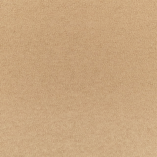 Warm camel-beige nubby teddy texture shown in close-up