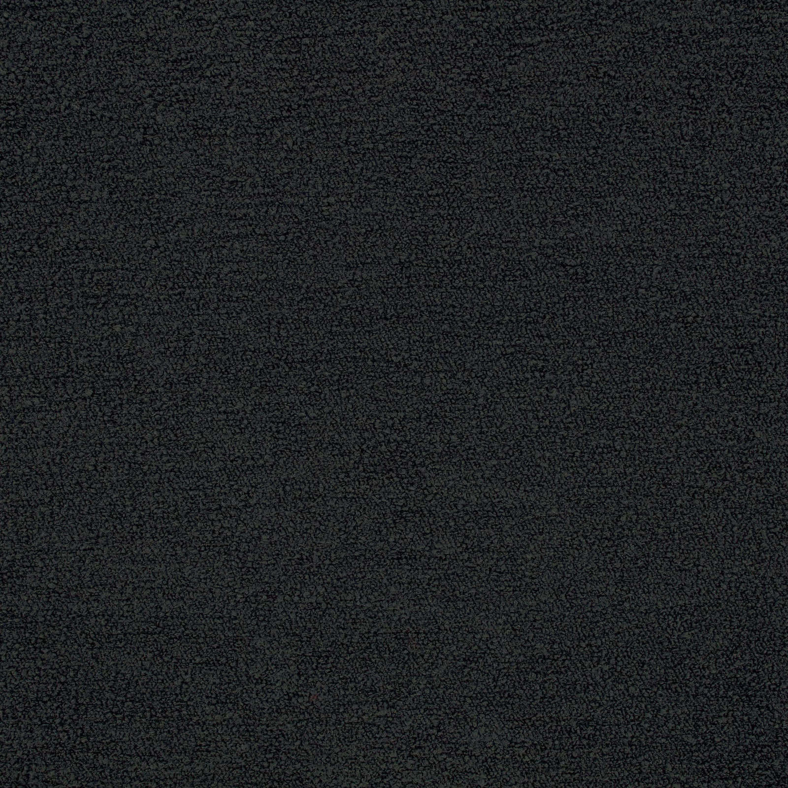 Near-black Teddy fabric with dense nubby texture and subtle tonal grain