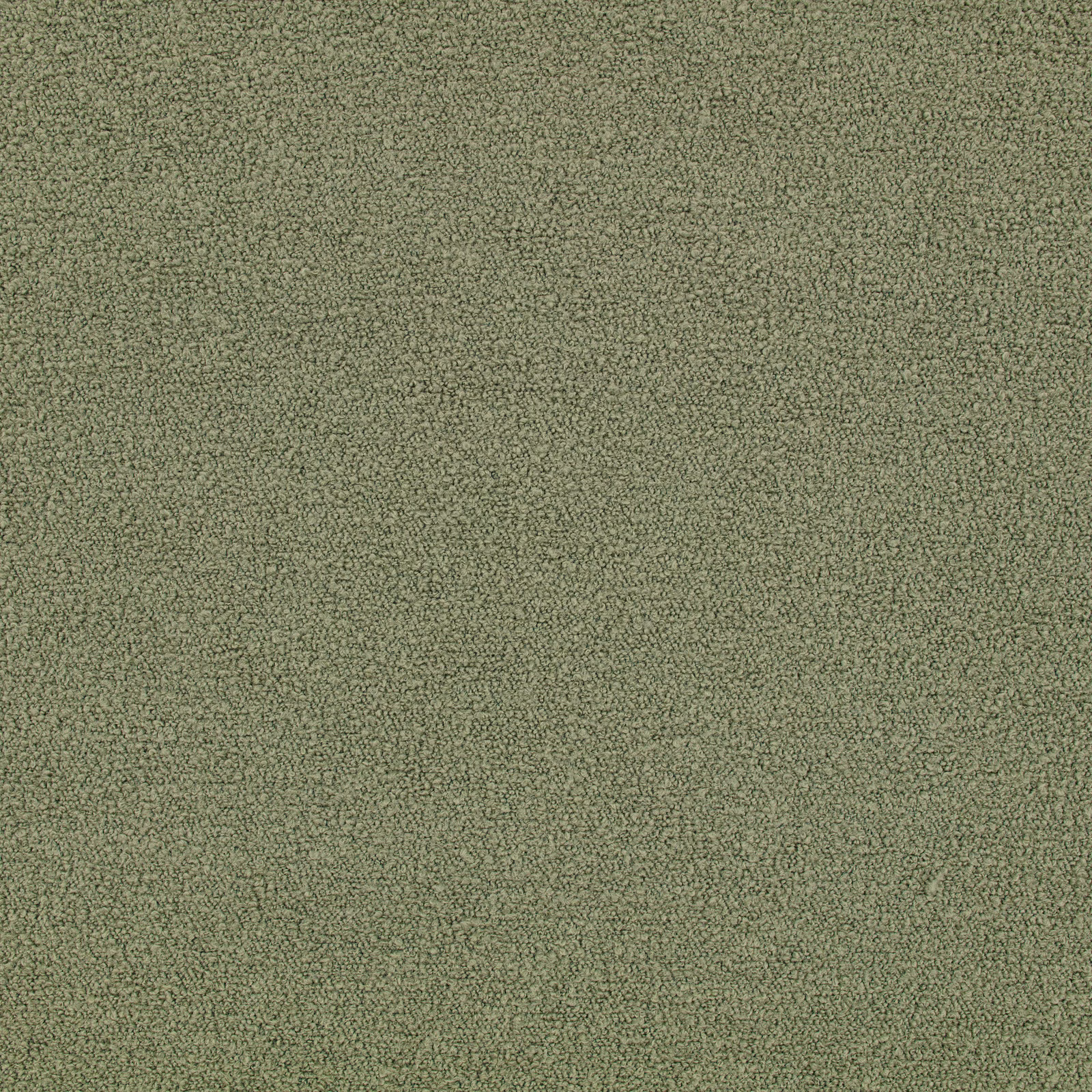 Close-up of Teddy Sage’s muted sage-green, densely nubby teddy texture