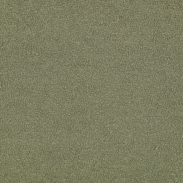 Close-up of Teddy Sage’s muted sage-green, densely nubby teddy texture