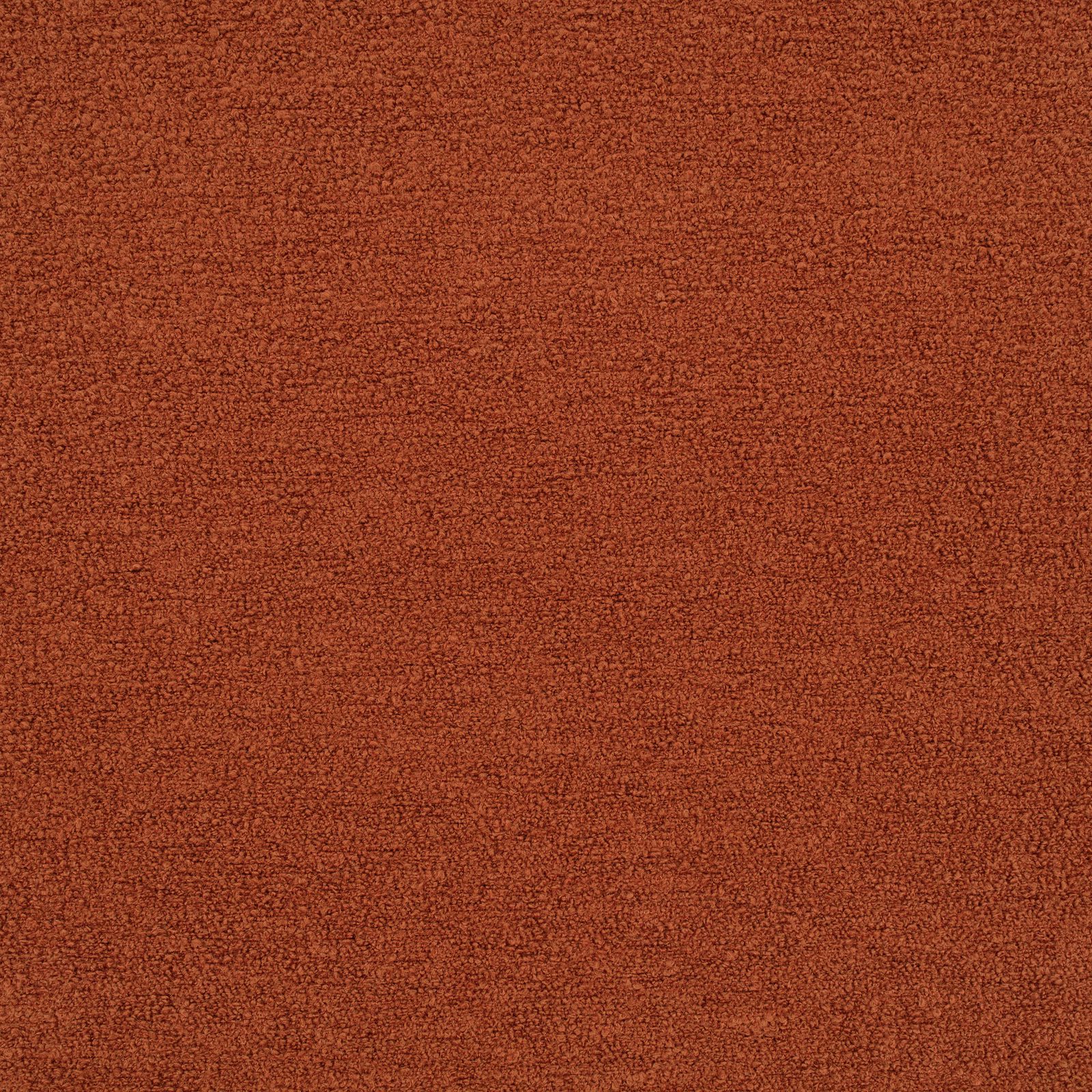 Close-up of warm rust terracotta Teddy fabric with dense nubby texture
