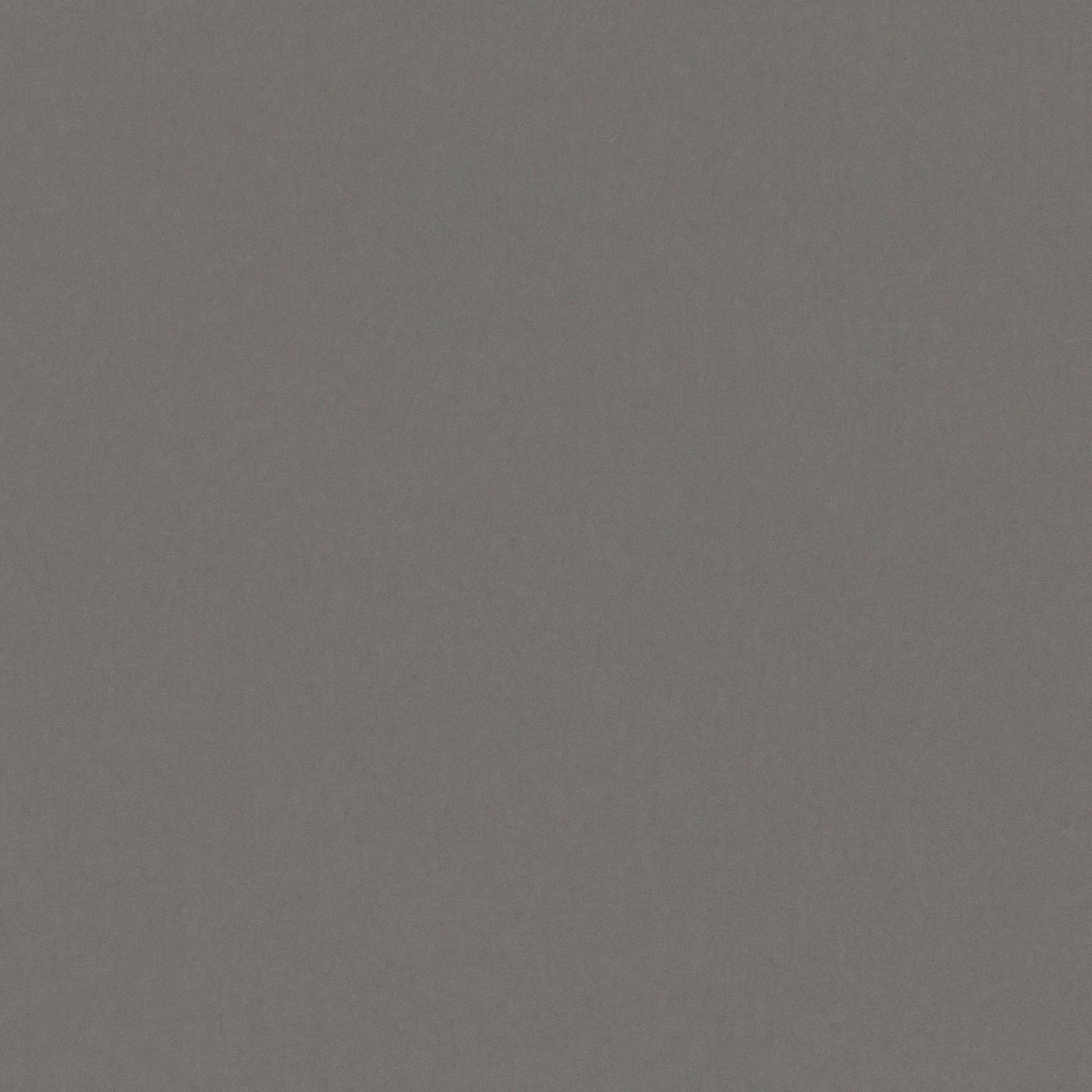 Close-up of Tone Concrete in cool grey with a softly textured matte surface