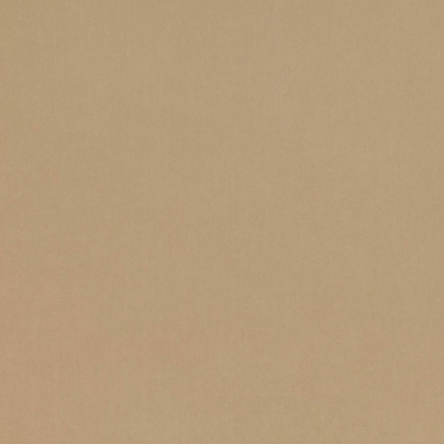 Warm sandstone-beige plain weave with a softly mottled surface