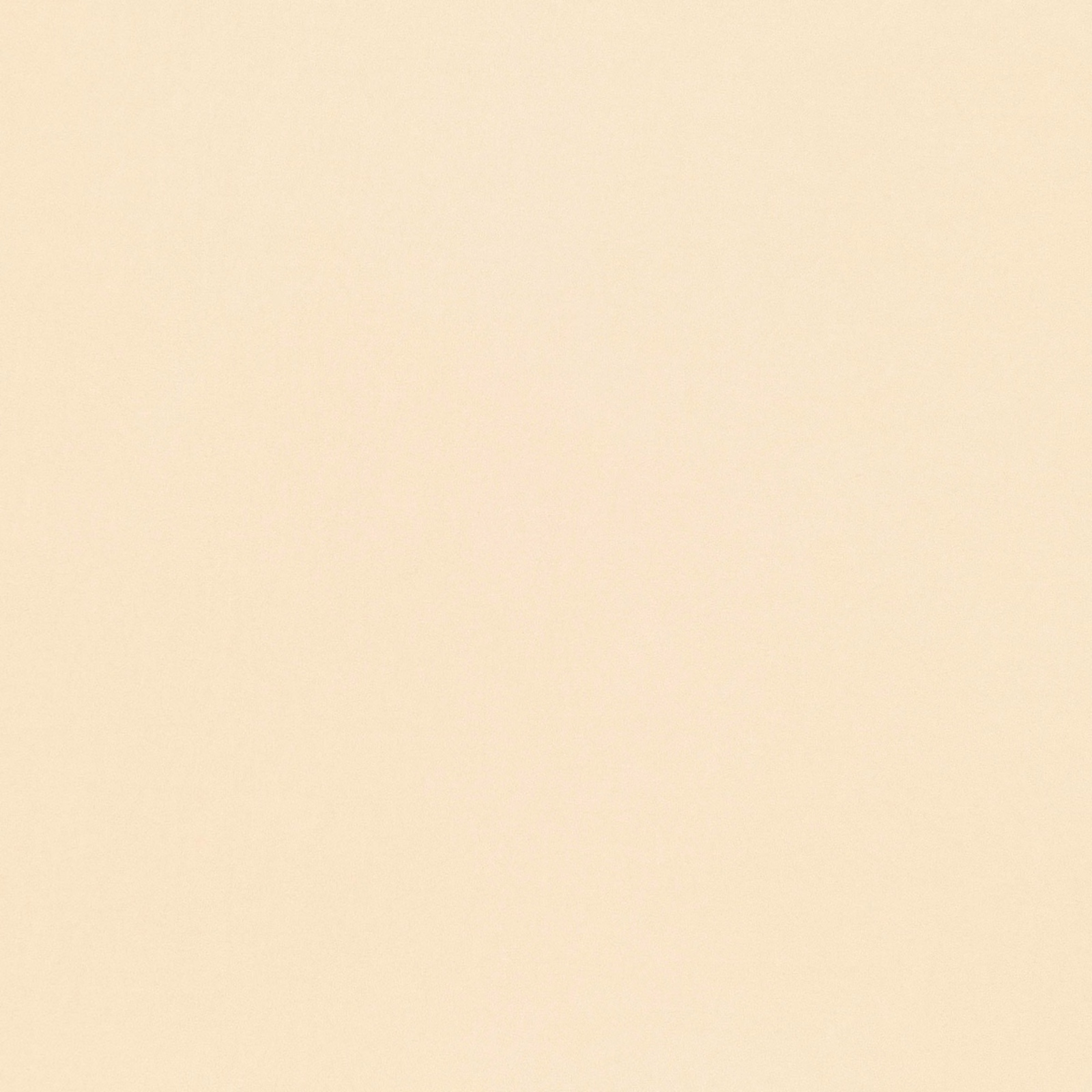 Close-up of pale vanilla cream fabric with a fine, subtly mottled texture