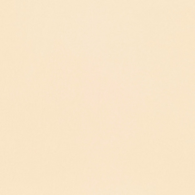 Close-up of pale vanilla cream fabric with a fine, subtly mottled texture