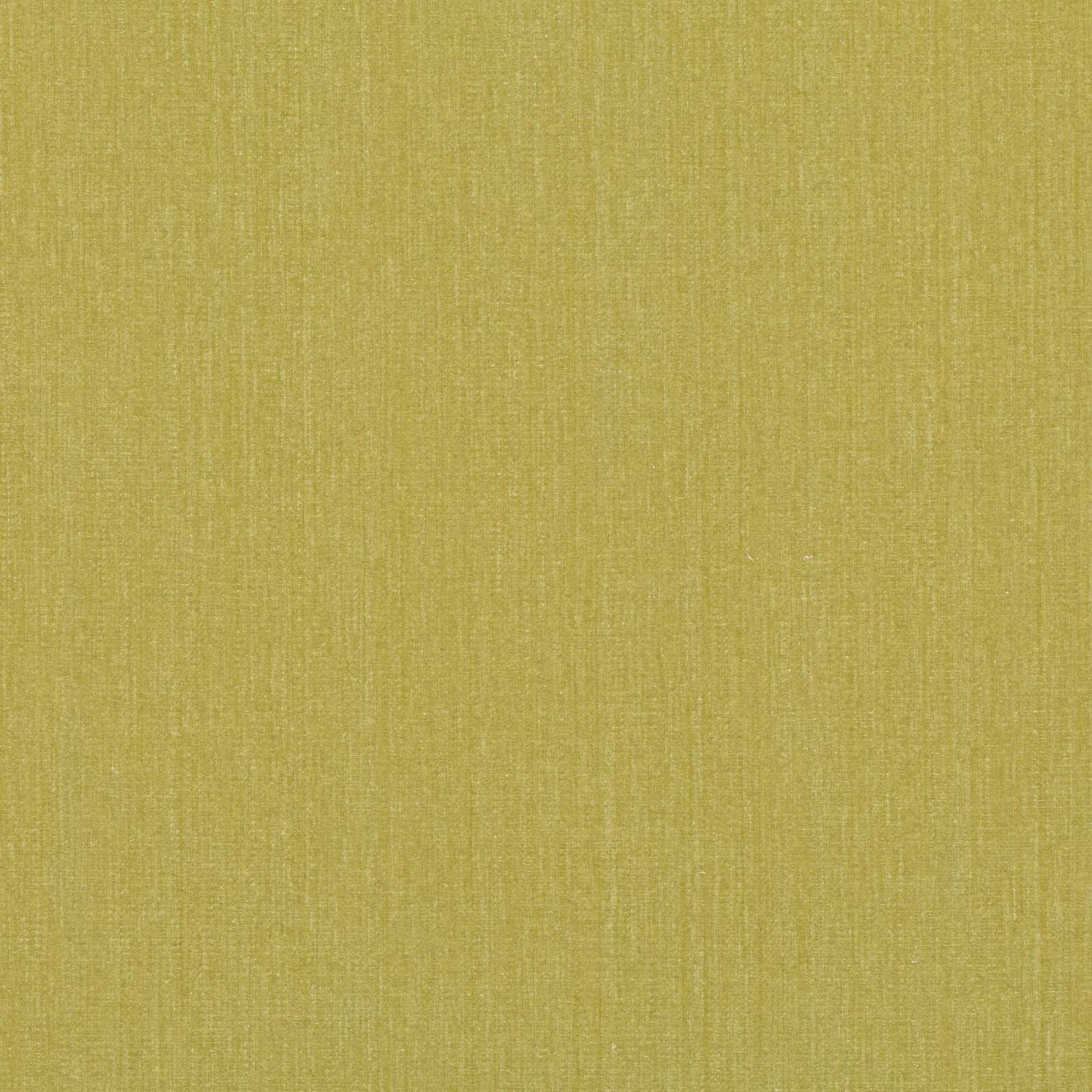 Muted chartreuse-yellow woven swatch with fine vertical striations and softly varied texture
