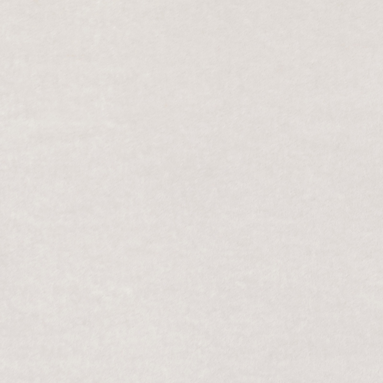 Pale Bear Cream fabric with a softly mottled, fine-grained woven surface