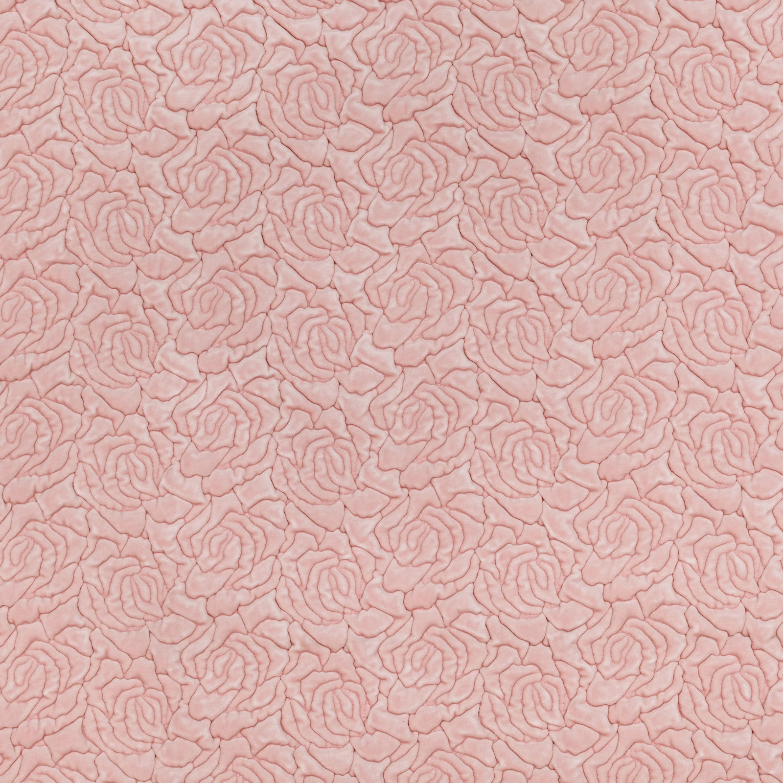 Pale blush pink fabric with dense rose outlines and a softly textured surface