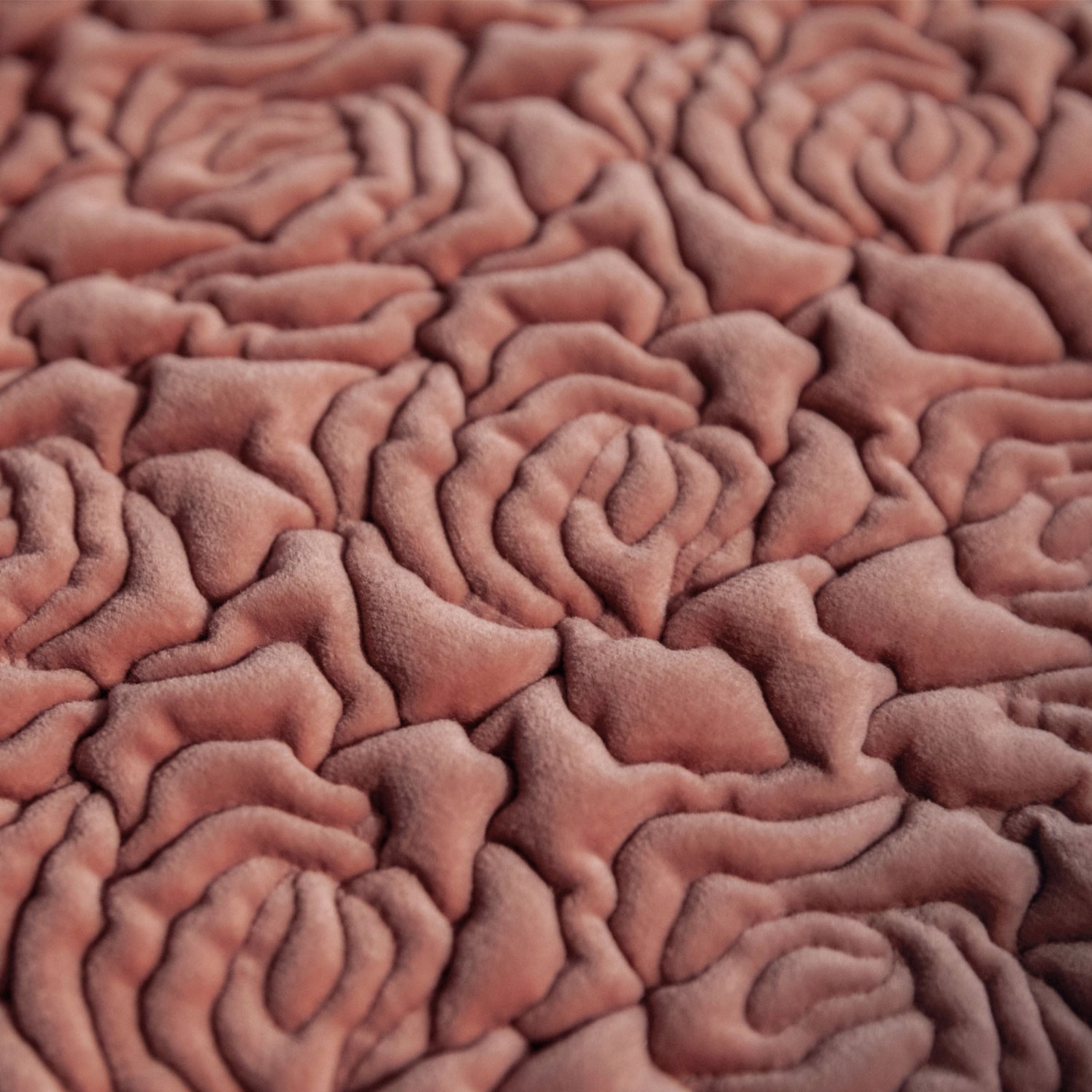 Close-up of plush dusty rose fabric with densely raised sculpted rose motifs