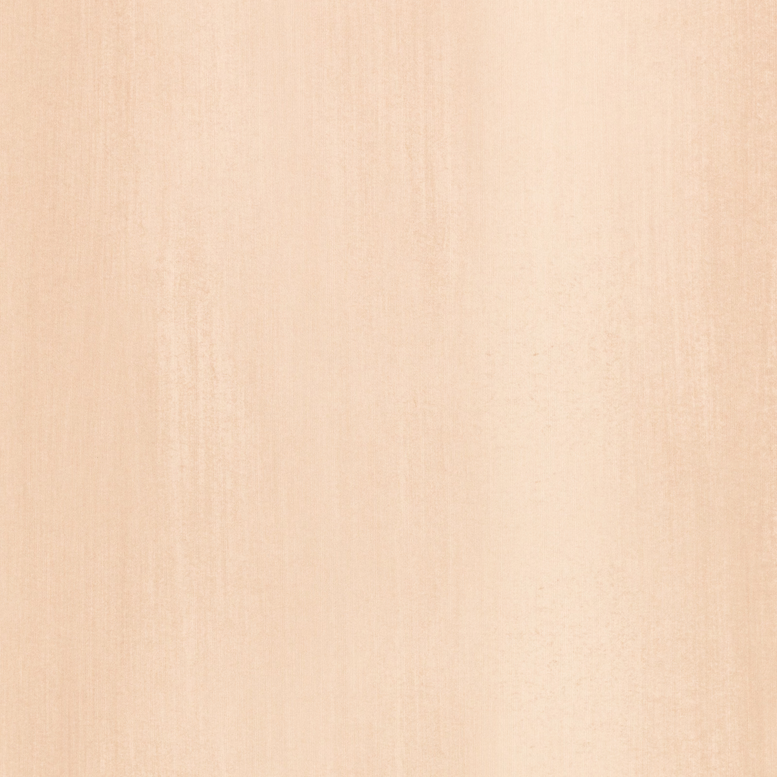 Pale clay-peach wallpaper with subtle vertical tonal striations and a softly brushed finish